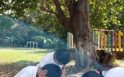 Dejando volar la imaginación