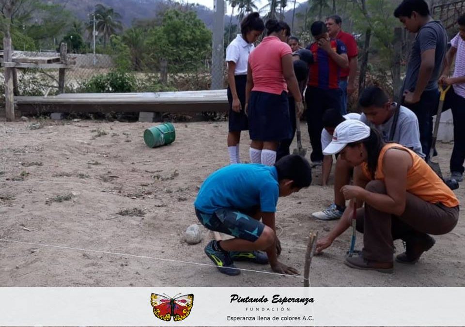 Iniciando huerto en Copalita