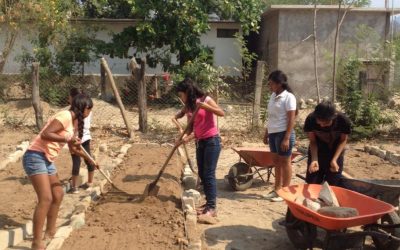 Excavación y preparación de camas de cultivo