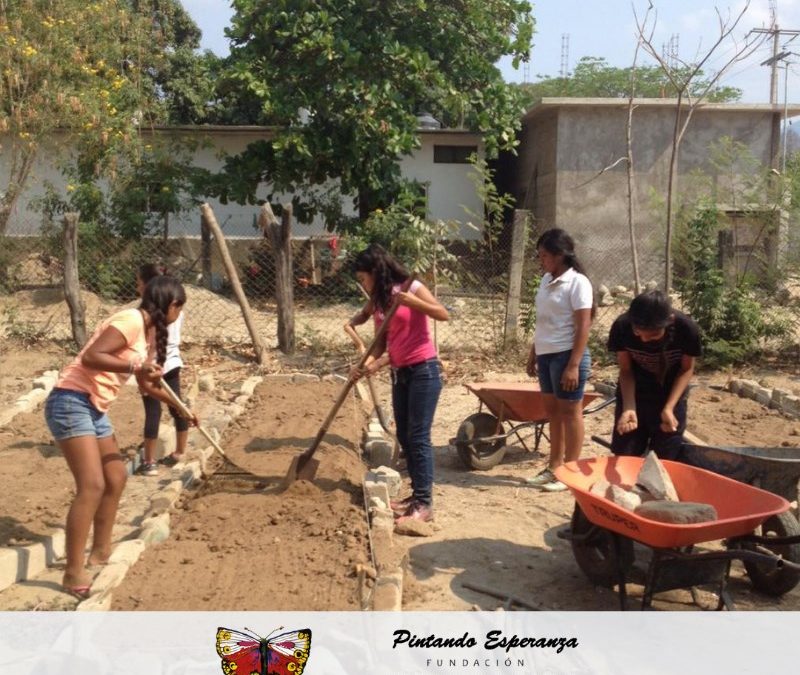 Excavación y preparación de camas de cultivo