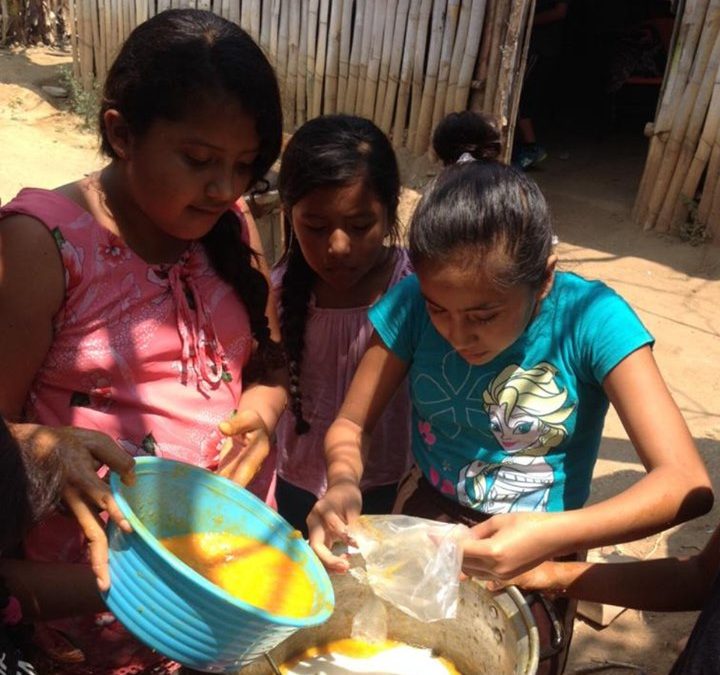 elaboración de mermeladas y conservas de mango y maracuya