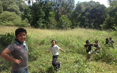 Recorrido para la instalación del huerto