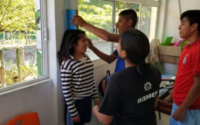 Alimentación balanceada