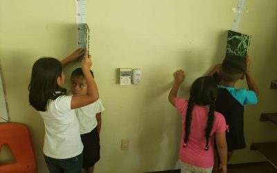 Consulta y medición