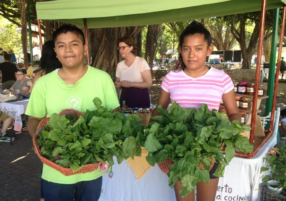 Venta de excedentes de cosecha
