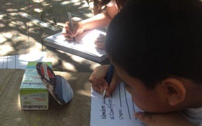 Elaborando el herbario