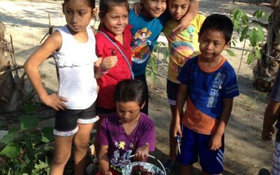 Los chicos cosechando Jamaica