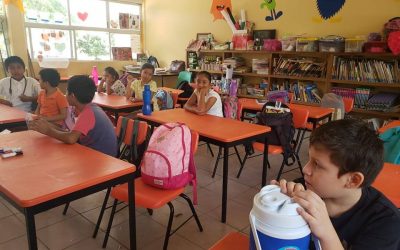 Tema: Generalidades del coronavirus