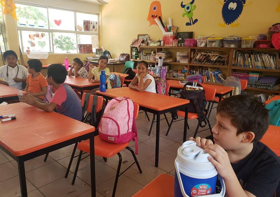 Tema: Generalidades del coronavirus