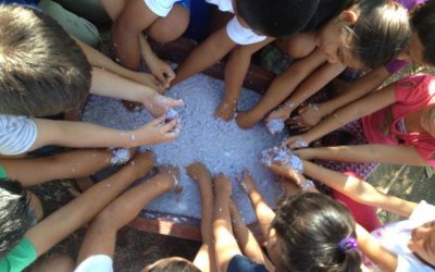 Taller de papel reciclado