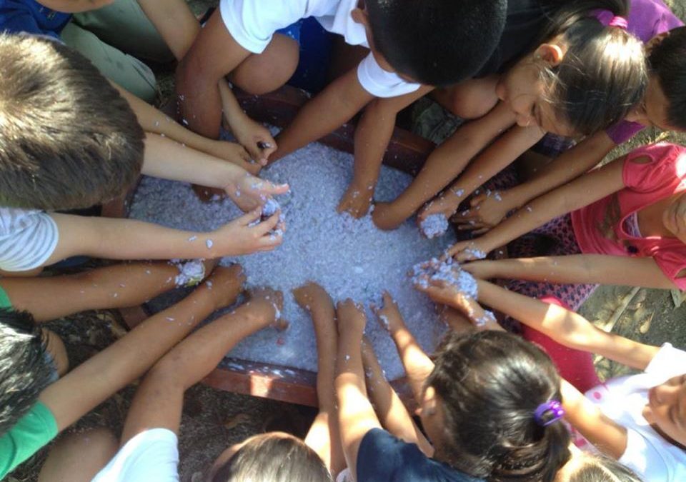 Taller de papel reciclado