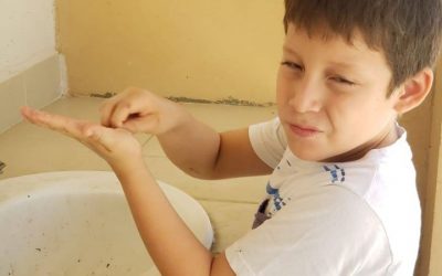 Medidas preventivas coronavirus