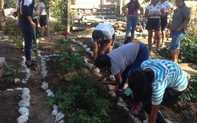 Los chicos trabajan en su huerto