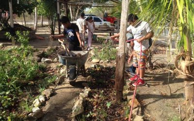 Actividades de riego