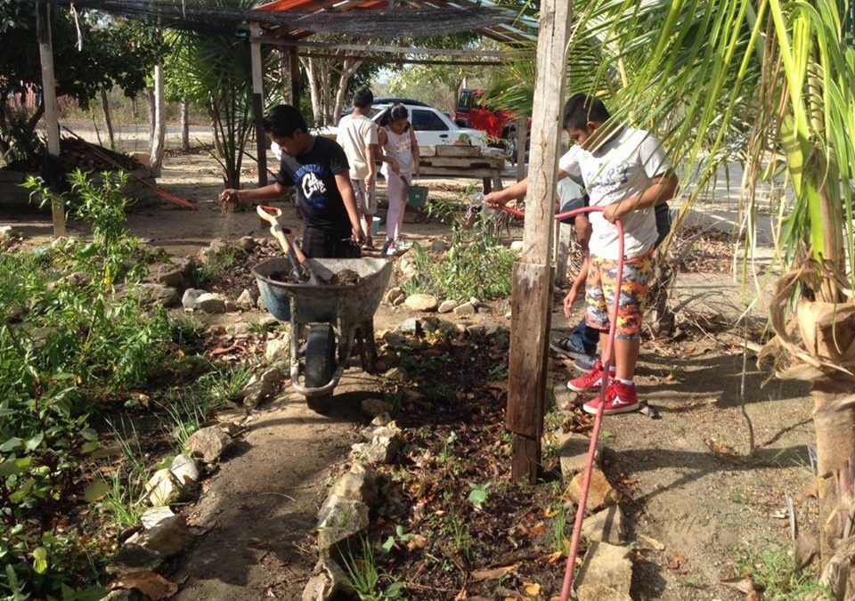 Actividades de riego