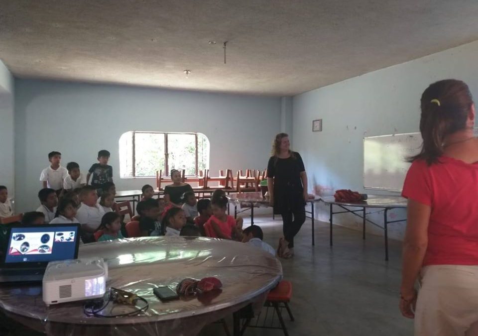 Resumen de todo el año 2019