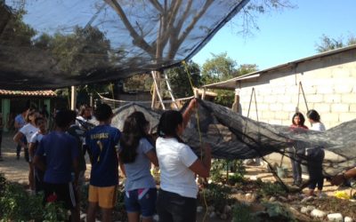 Colocando la malla sombra