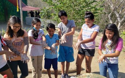 Tema de coronavirus y sus medidas de prevención