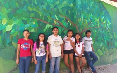 Hermoso árbol del aula