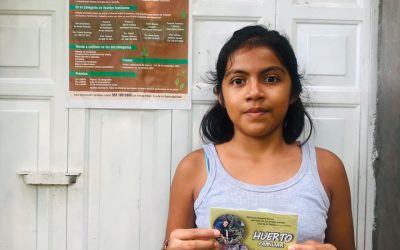 Paquete de semillas para iniciar su huerto