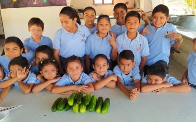 Fruto de un trabajo entusiasta