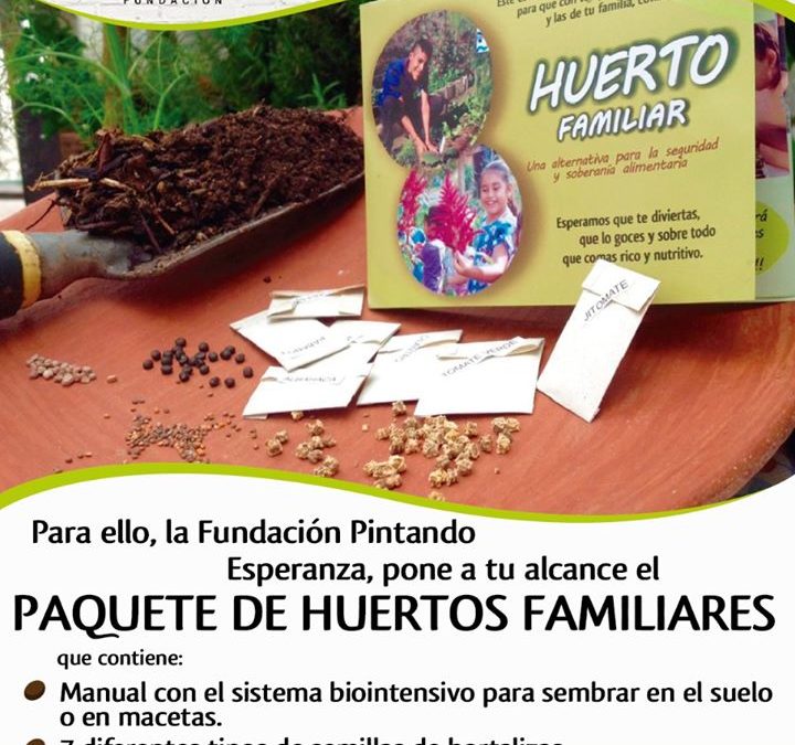 Primera transmisión 14 de Julio a las 17:00 horas.