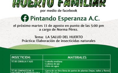 Próxima clase virtual de Huerto Familiar