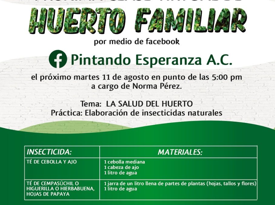 Próxima clase virtual de Huerto Familiar