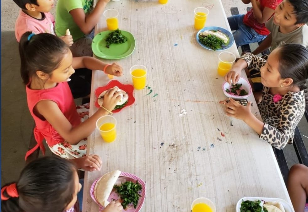 Una alimentación balanceada fortalecerá tu cuerpo