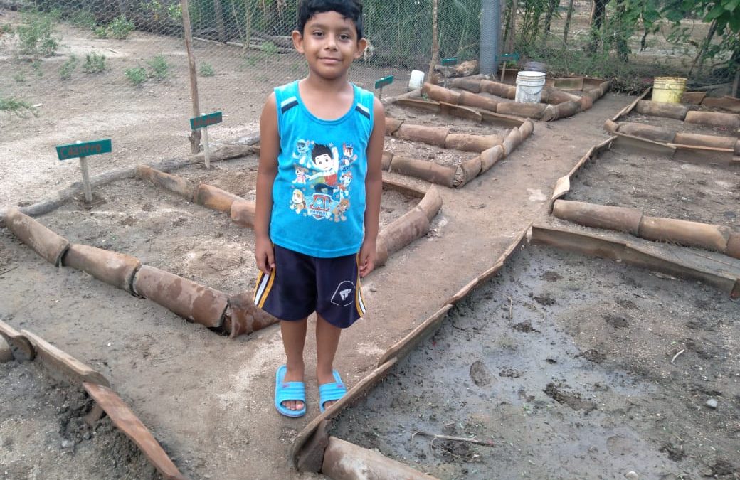 Huerto de Jorge Andrés