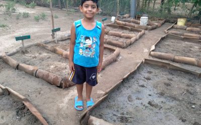 Huerto de Jorge Andrés