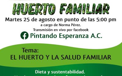 Próxima clase virtual de Huerto Familiar