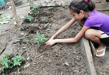 Avances del huerto de Karlita