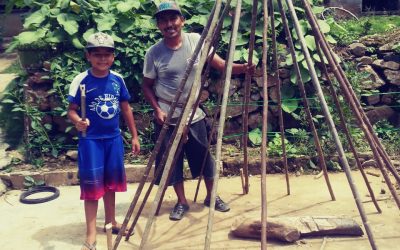 Comienzos del huerto de Tadeo