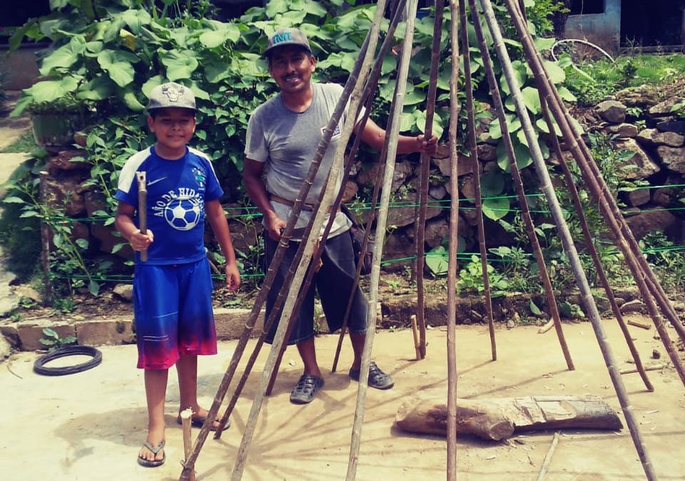 Comienzos del huerto de Tadeo