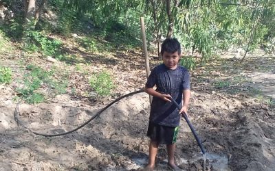 Preparando la tierra de su huerto