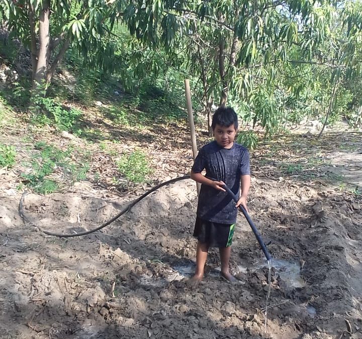 Preparando la tierra de su huerto