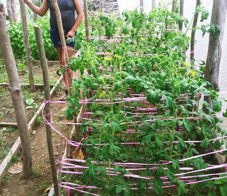 Lizbeth en su huerto