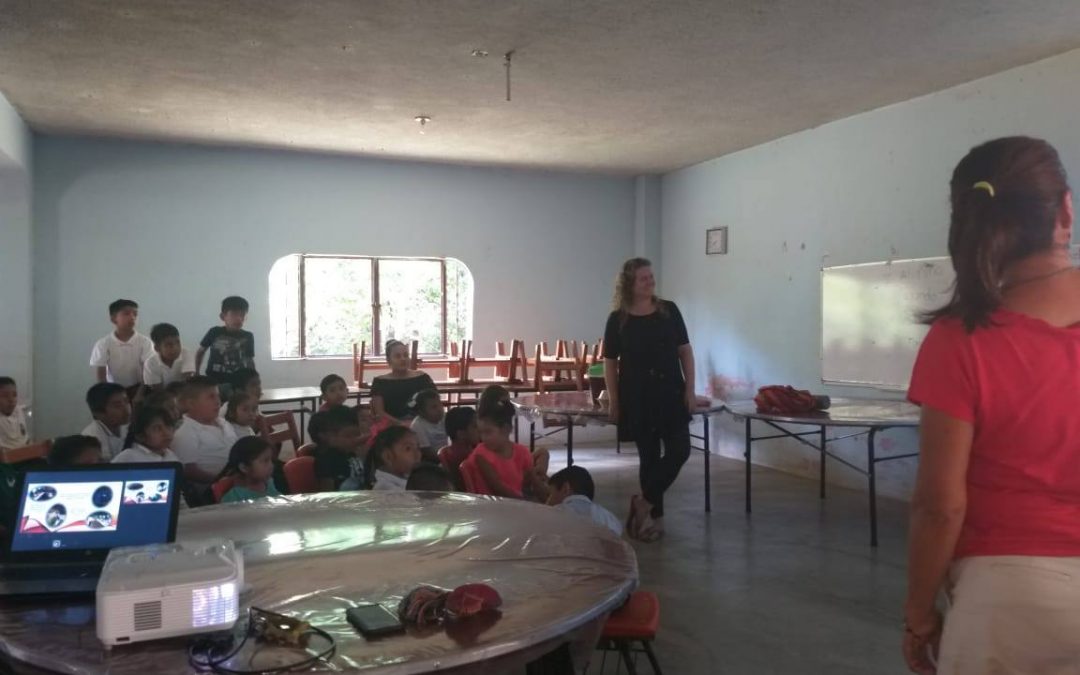 Presentamos un resumen de todo el año 2019