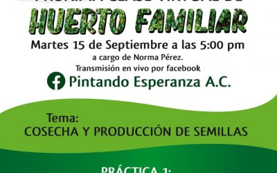 Próxima clase virtual de Huerto Familiar
