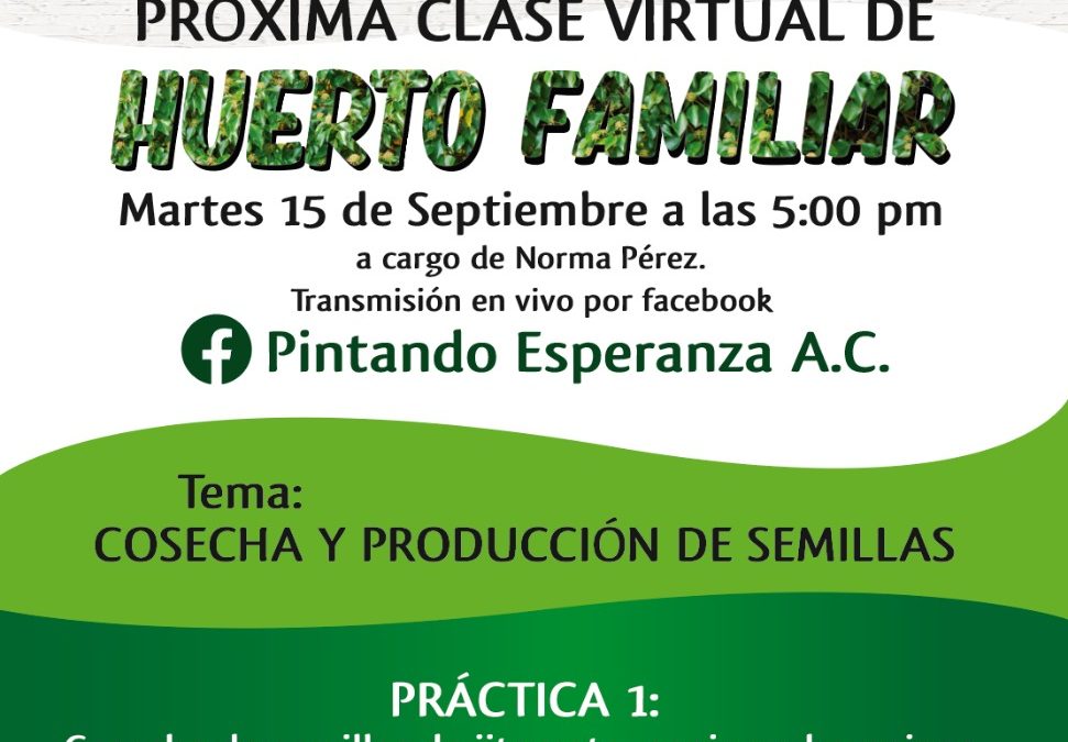 Próxima clase virtual de Huerto Familiar