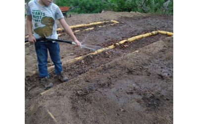 Entusiasta en su huerto