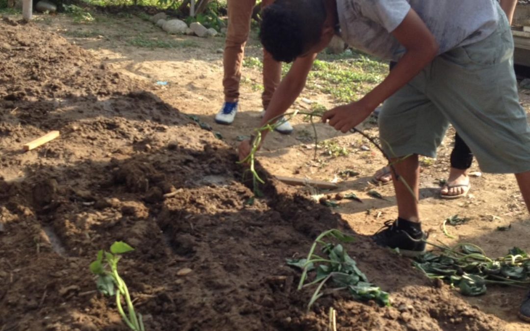 Actividades que realizaban nuestros jóvenes