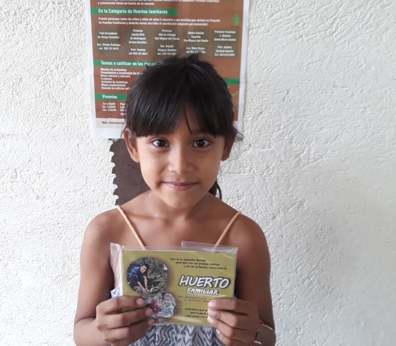 Kit de semillas para huerto en casa